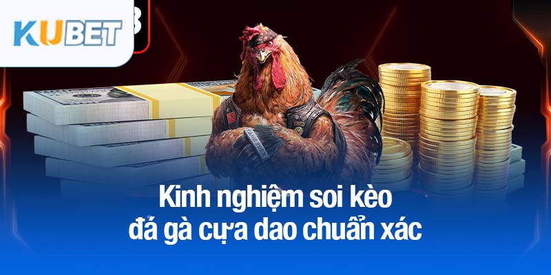 Đá gà cựa dao Kubet - Môn thể thao cá cược đầy cuốn hút 4 Kinh nghiệm soi kèo đá gà cựa dao chuẩn xác