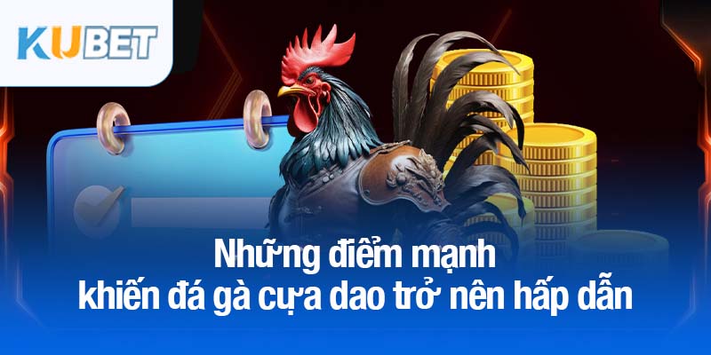 Đá gà cựa dao Kubet - Môn thể thao cá cược đầy cuốn hút 3 Những điểm mạnh khiến đá gà cựa dao trở nên hấp dẫn