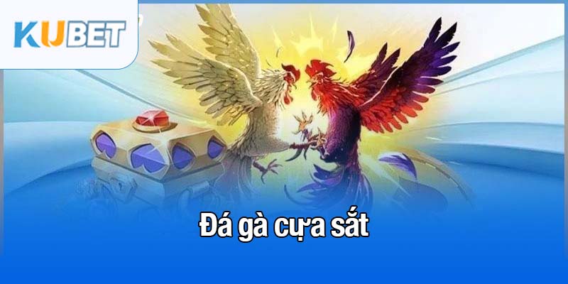 Đá gà cựa sắt